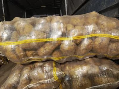 Kumpir Patates