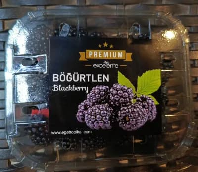 Böğürtlen