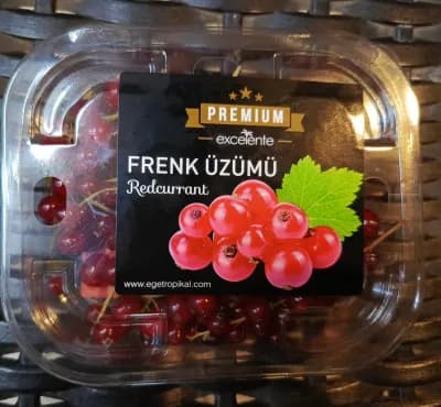 Frenk Üzümü