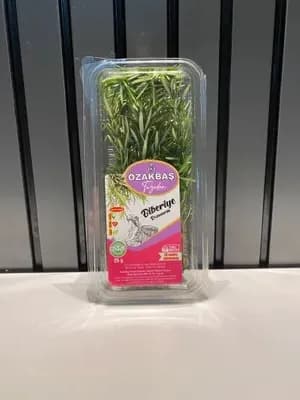 Rozmarin Paketli