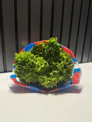 Endivyen paket
