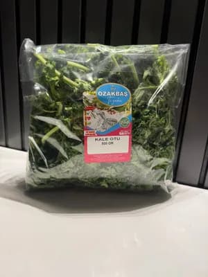 Kale Otu