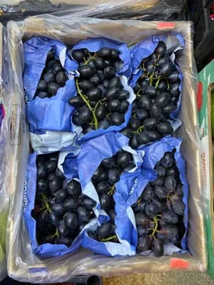 İthal Siyah Üzüm