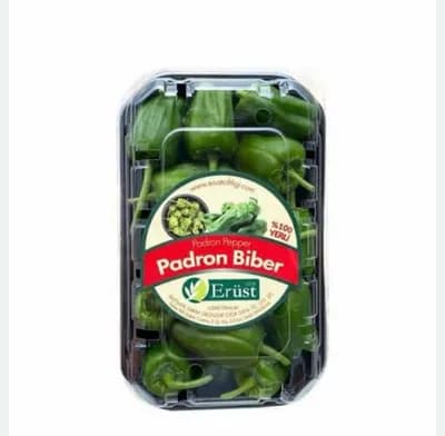 Padron biberi