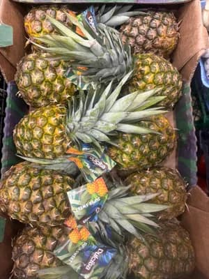 Ananas